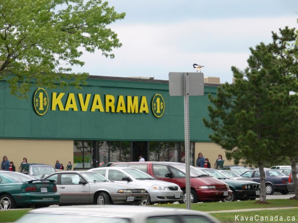 Kava at The Dollar Store?